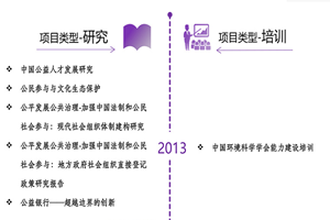 荡妇插bi视频非评估类项目发展历程